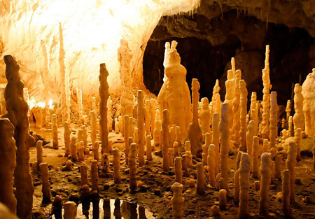 sibiu pestera ursilor larca tour