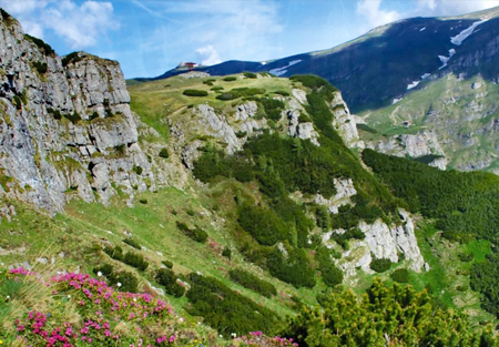 sibiu platoul bucegi larca tour