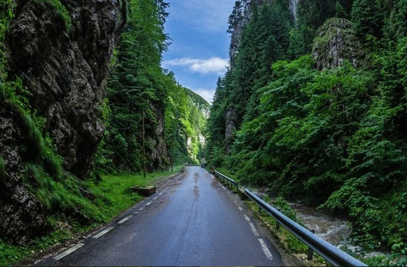 excursie cheile dambovicioarei